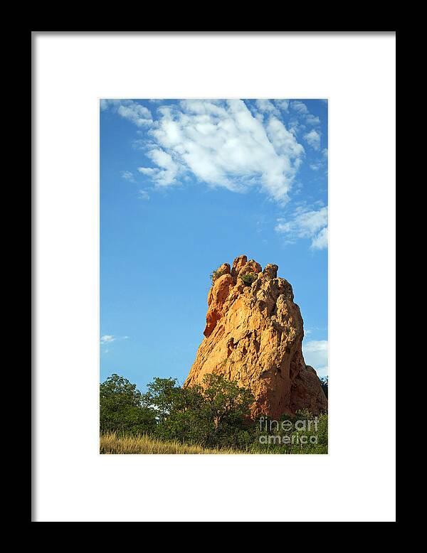 Red Framed Print featuring the photograph Reaching Upward by Anjanette Douglas