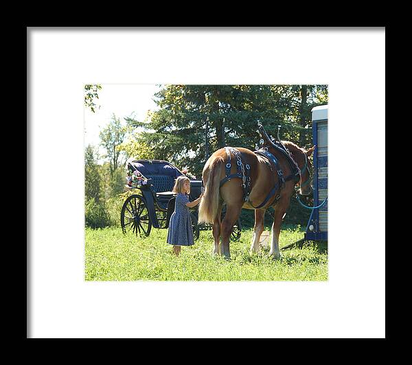 Horse Framed Print featuring the photograph Ready for the Parade by Valerie Kirkwood