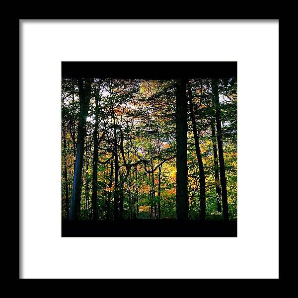 Real Framed Print featuring the photograph #real #canadian #forest by Stevie Carlyle
