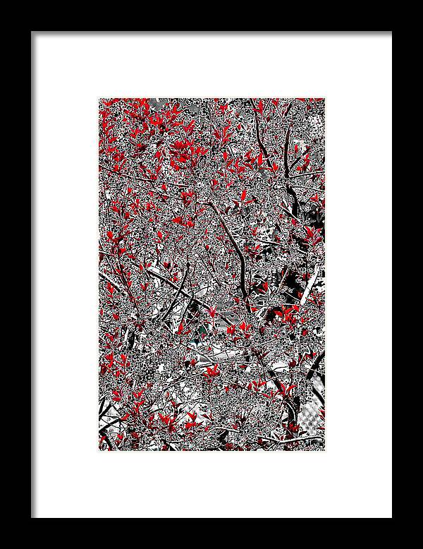 Tree With Red Leaves Framed Print featuring the photograph Red And Grey by Burney Lieberman