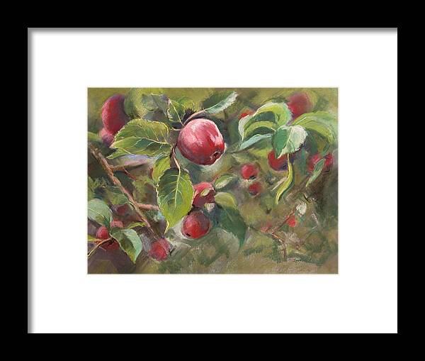 Apples Framed Print featuring the painting Red Apples by Synnove Pettersen