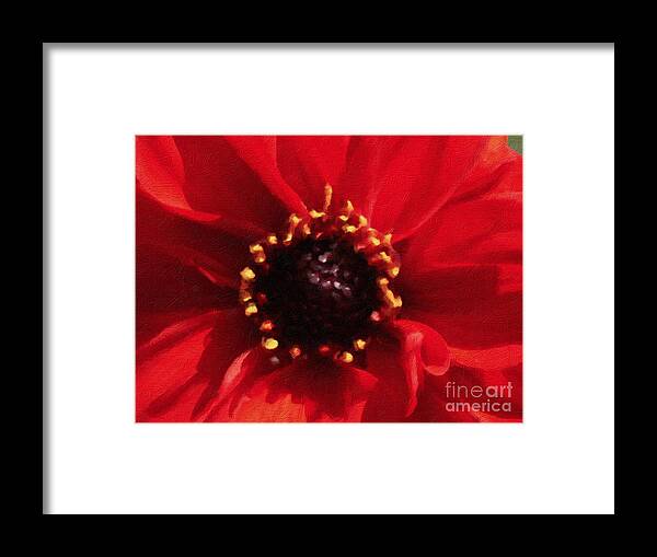 Red Framed Print featuring the photograph Red Beauty by Jacklyn Duryea Fraizer