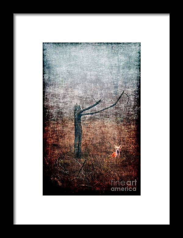 Fox Framed Print featuring the photograph Red fox under tree by Dan Friend