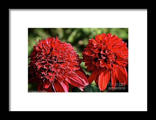 Outdoors Framed Print featuring the photograph Red Head Twins by Susan Herber