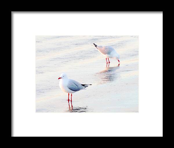 Sea Framed Print featuring the photograph Red Legs and Lipstick by Steve Taylor