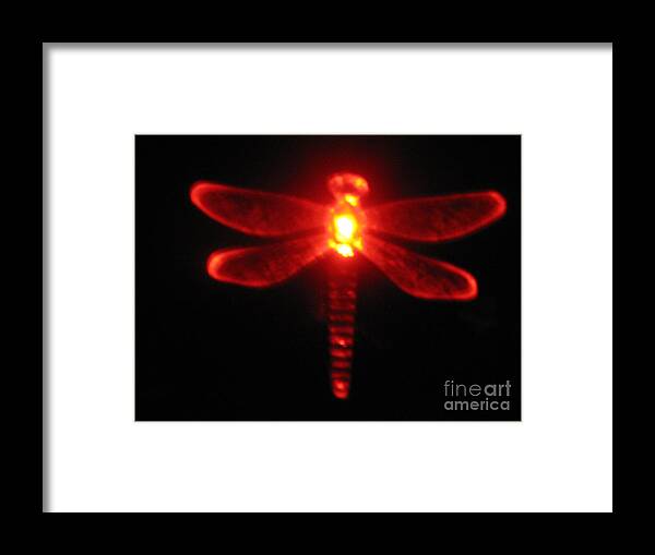 Red Dragonfly Framed Print featuring the photograph Red Midnight dragonfly by Christina A Pacillo