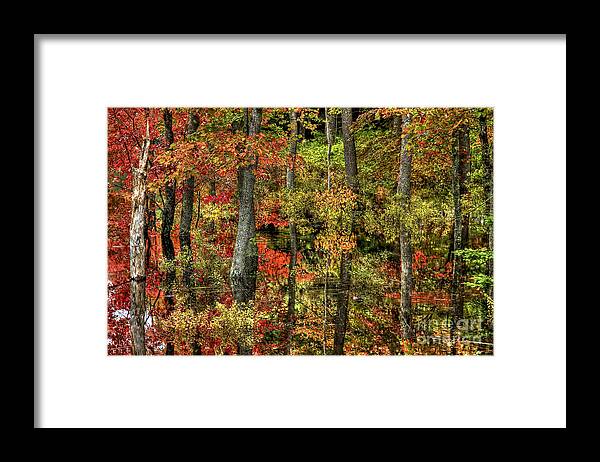 Fall Foliage Framed Print featuring the photograph Red Refection of You by Brenda Giasson