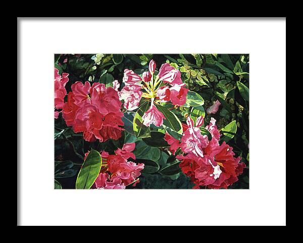 Flower Framed Print featuring the painting Red Rhodos by David Lloyd Glover