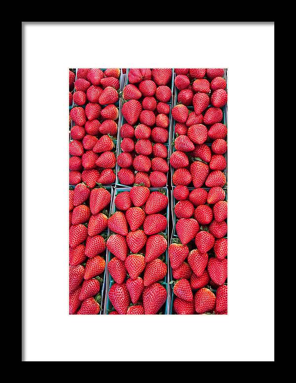Berries Framed Print featuring the photograph Red Ripe Strawberry Row by Dina Calvarese