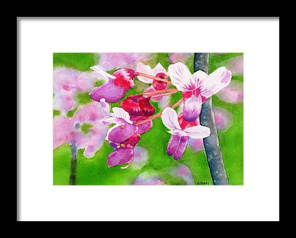 Redbud Framed Print featuring the painting Redbud by Debra Spinks