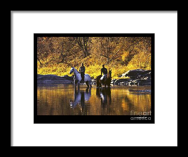 Horses Framed Print featuring the photograph Reflecting on the Ride by Jonathan Fine