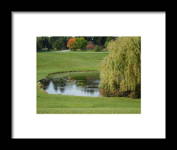 Landscape Framed Print featuring the photograph Reflecting Pond by Val Oconnor