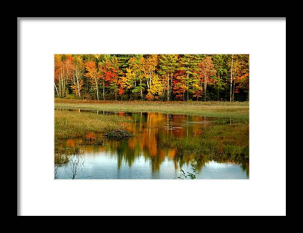 Autumn Framed Print featuring the photograph Reflections by Cathy Kovarik