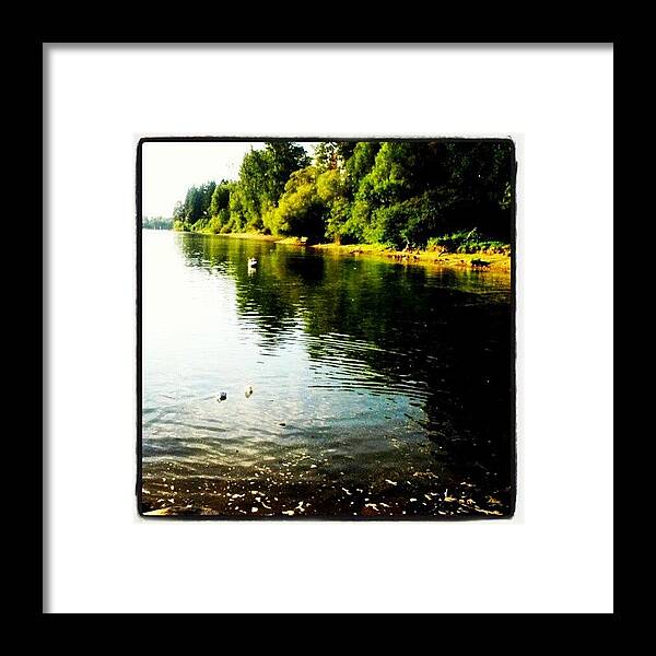 Water Framed Print featuring the photograph Reflections by Elisa B