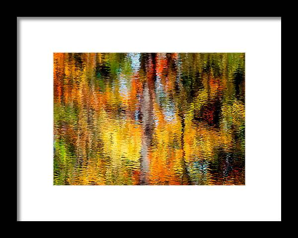 Landscape Framed Print featuring the photograph Reflective Stream by Fred LeBlanc