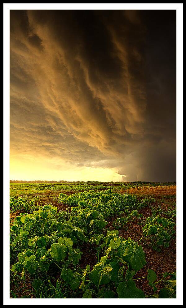 Horizons Framed Print featuring the photograph Relief by Phil Koch