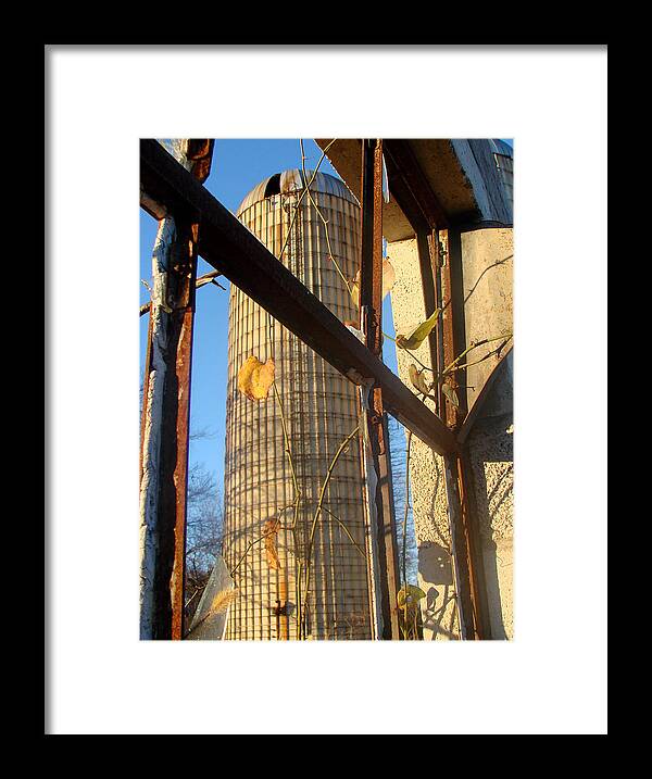 Dairy Farm Framed Print featuring the photograph Remnant by Tammy Cantrell