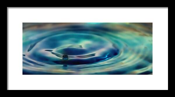 Water Framed Print featuring the photograph Resting by Mark Fuller