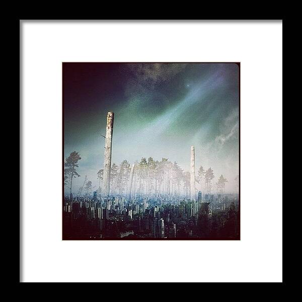 Scenery Framed Print featuring the photograph Return To The Trees!
#trees #city by Robert Campbell