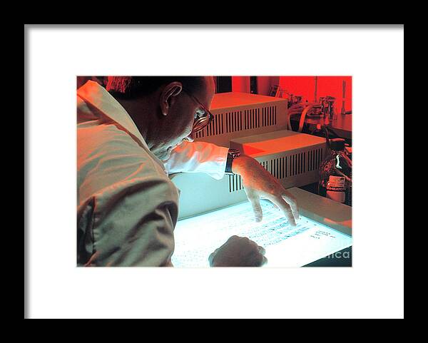 Lab Technician Framed Print featuring the photograph Reviewing Dna Band Pattern by Science Source