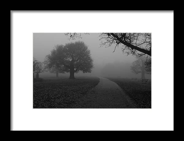 Richmond Park Framed Print featuring the photograph Richmond Park by Maj Seda