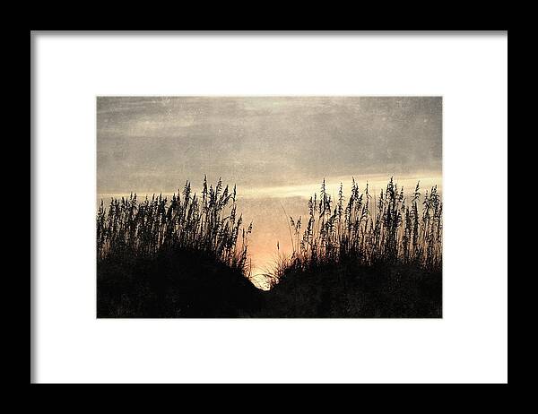 Dunes Framed Print featuring the photograph Rise Between The Dunes by Kim Galluzzo Wozniak