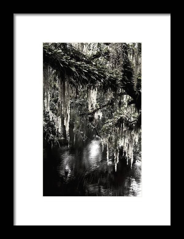 Tree Framed Print featuring the photograph River Branch by Steven Sparks