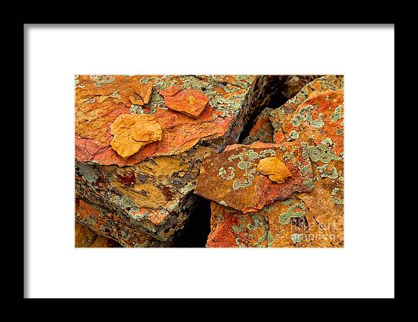 Lichen Framed Print featuring the photograph Rock Abstract I by Barbara Schultheis
