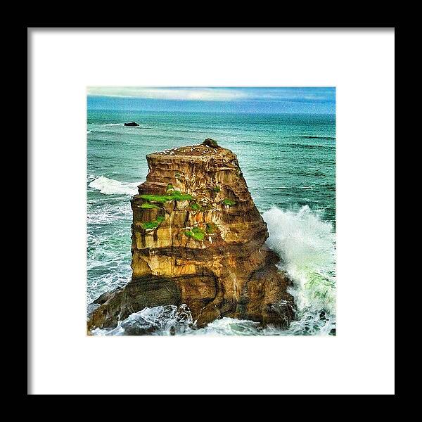 Colony Framed Print featuring the photograph Rock With Gannets. by Evgeny Poliganov