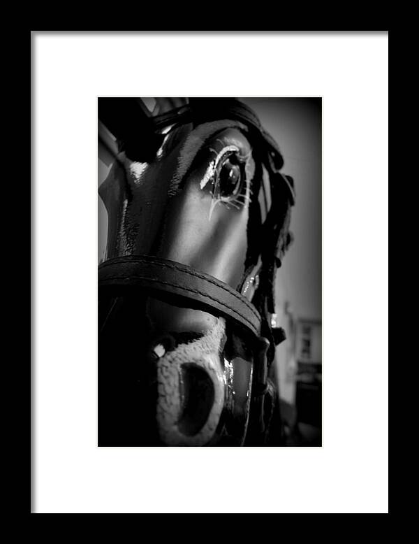 Rocking Horse Framed Print featuring the photograph Rocking Horse 1 by Richard Reeve