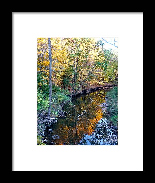 Nature Framed Print featuring the photograph Rocky Glen by Jim Simak