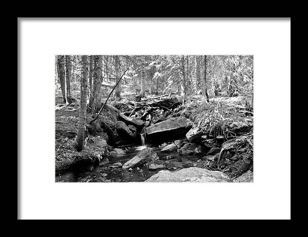 Stream Framed Print featuring the photograph Rocky Mountain Forest Stream Landscape BW by James BO Insogna
