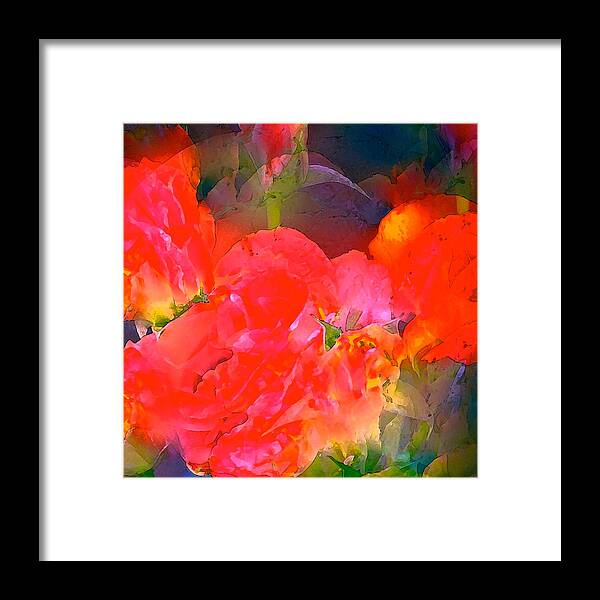 Floral Framed Print featuring the photograph Rose 144 by Pamela Cooper