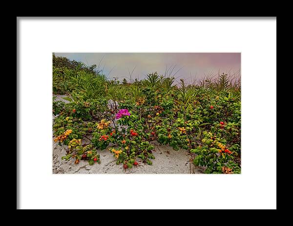 Beach Framed Print featuring the photograph Rose on the Beach by Robin-Lee Vieira