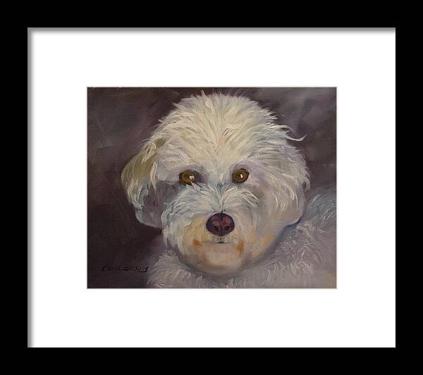 Bichon Frise Framed Print featuring the painting Sadie by Carol Berning