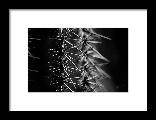 Photograph Framed Print featuring the photograph Saguaro Nights by Vicki Pelham
