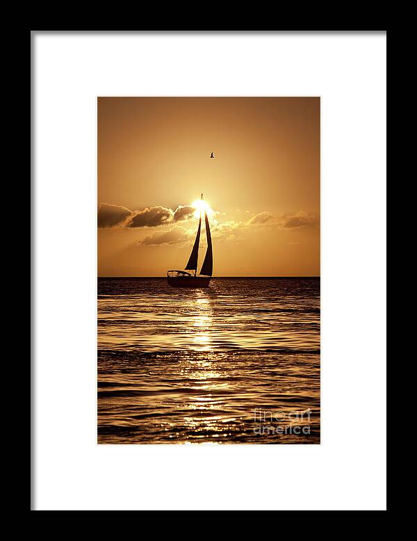 Water Photography Framed Print featuring the photograph Sailing in the Sun by Keith Kapple