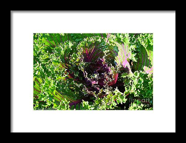 Outdoors Framed Print featuring the photograph Salad Maker by Susan Herber