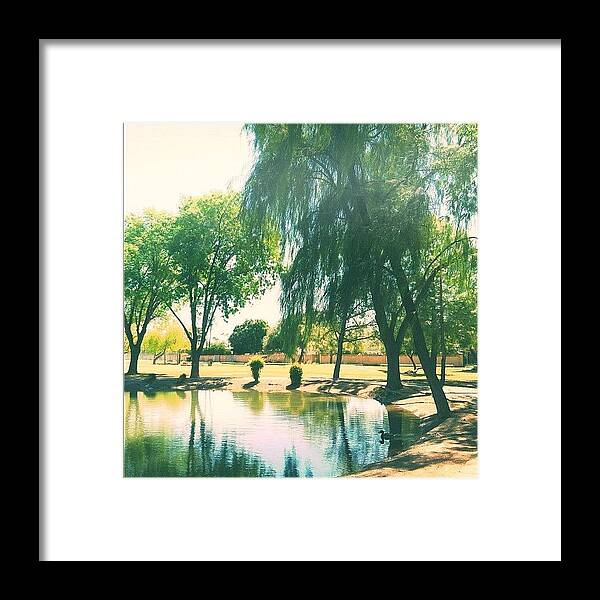 Arizona Framed Print featuring the photograph Sallee Park In #tempe #arizona On My by Michael Bassett