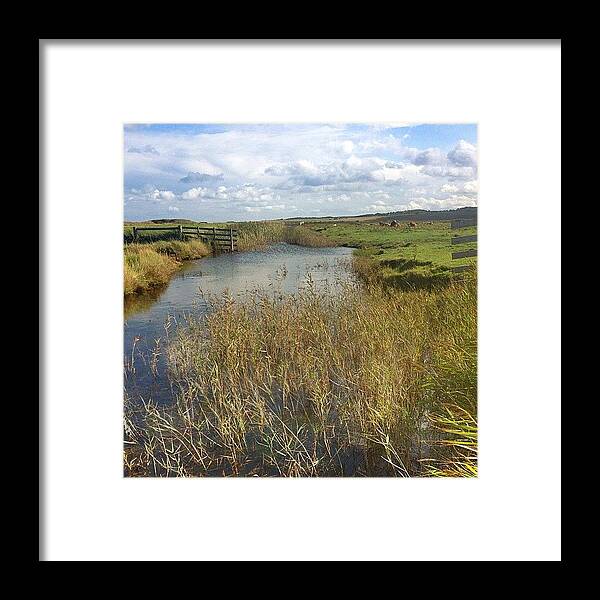 Textgram Framed Print featuring the photograph Salthouse Marshes Norfolk by Dave Lee