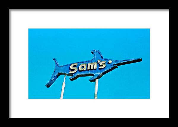 Fish Framed Print featuring the photograph Sam's by Matthew Bamberg