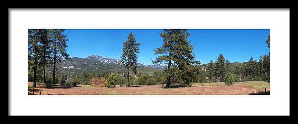 San Bernardino Forest Framed Print featuring the photograph San Bernardino Forest Vista by Glenn McCarthy Art and Photography