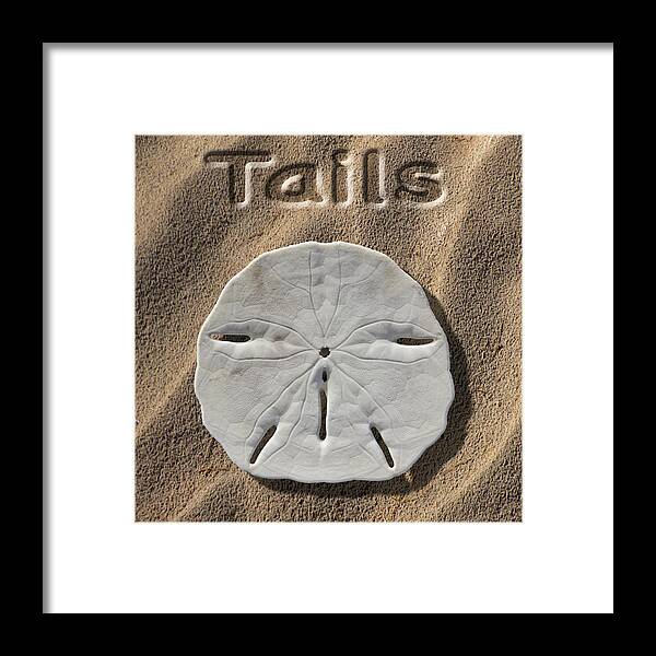 Sand Dollar Framed Print featuring the photograph Sand Dollar Tails by Mike McGlothlen