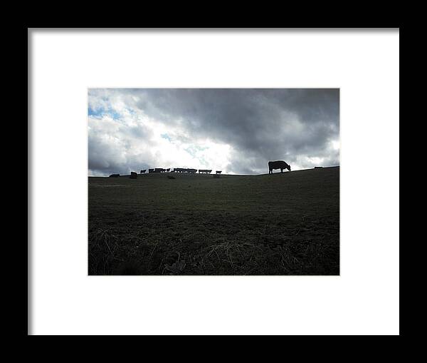 Cows Framed Print featuring the photograph Sauvie Island by Kelly Manning