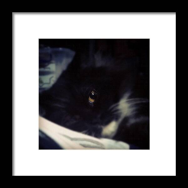 Cute Framed Print featuring the photograph Saying Goodnight by Zee HSZA