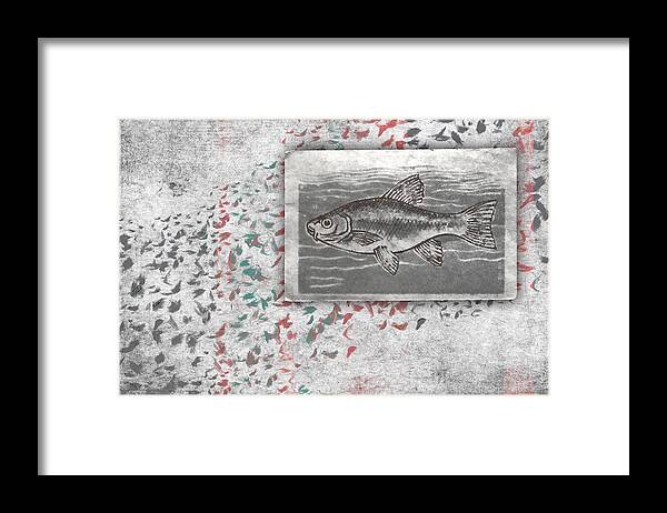 Fish Framed Print featuring the photograph Schools 1 by Carol Leigh
