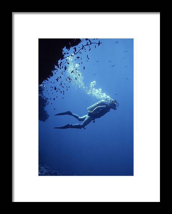 Scuba Diver Framed Print featuring the photograph Scuba Diver by Geoff Tompkinson