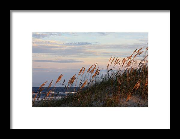 Matte Print Framed Print featuring the photograph Sea Oats Blowing In The Wind by Kim Galluzzo
