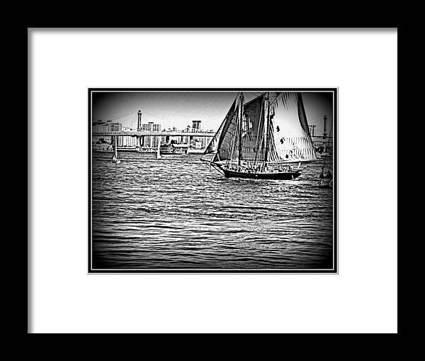 Flowers Framed Print featuring the photograph Sea Scape-28 by Anand Swaroop Manchiraju