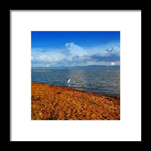 Blue Framed Print featuring the photograph #seagull #sky #sun #sea #lake #white by Fantasy Me